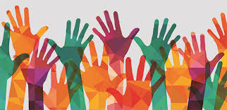 Volunteer Application