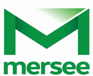 Mersee, Blog page,THE REASON FOR MERSEE