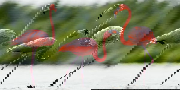 Nouvel article sur le blog !!