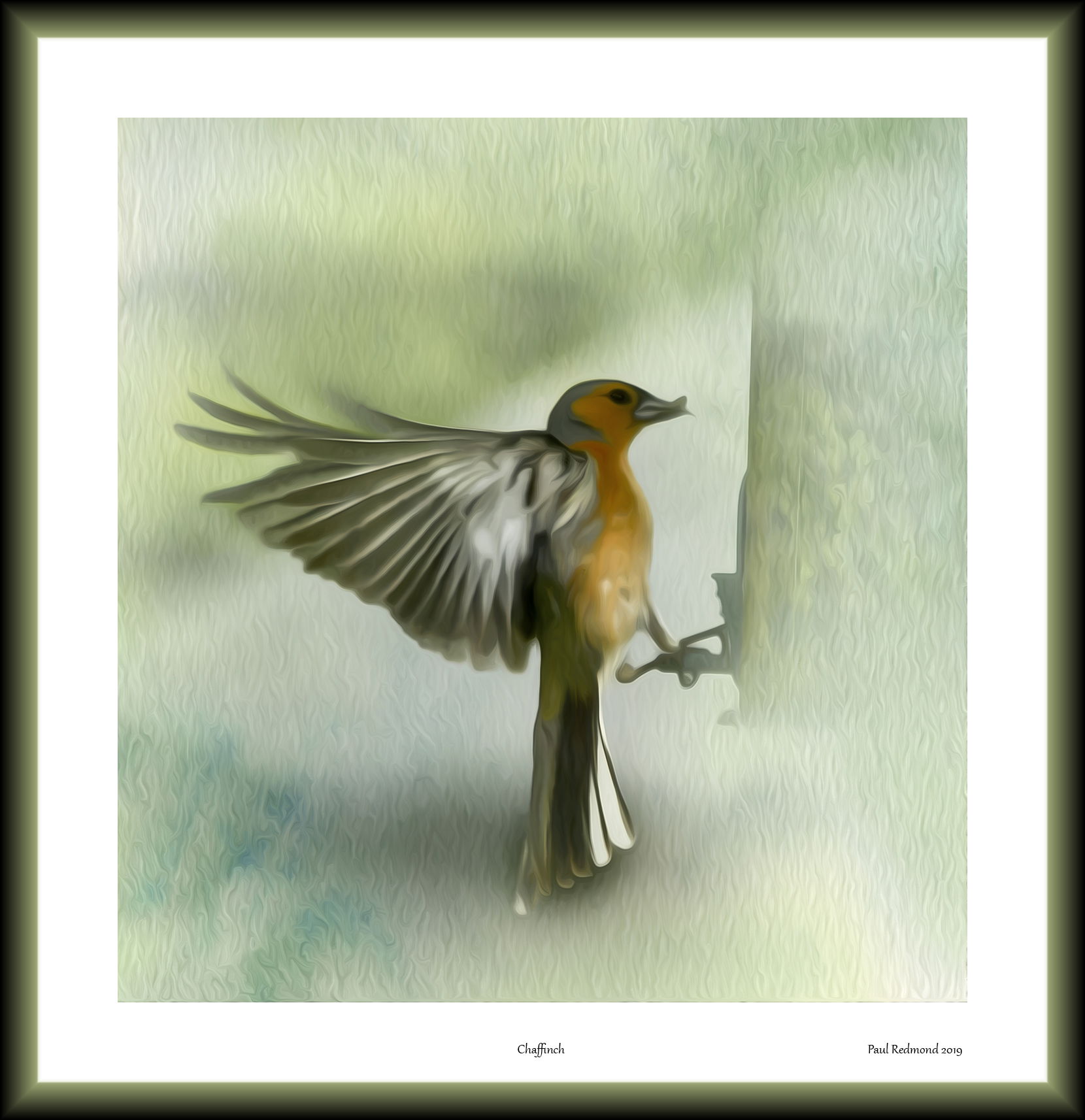Chaffinch