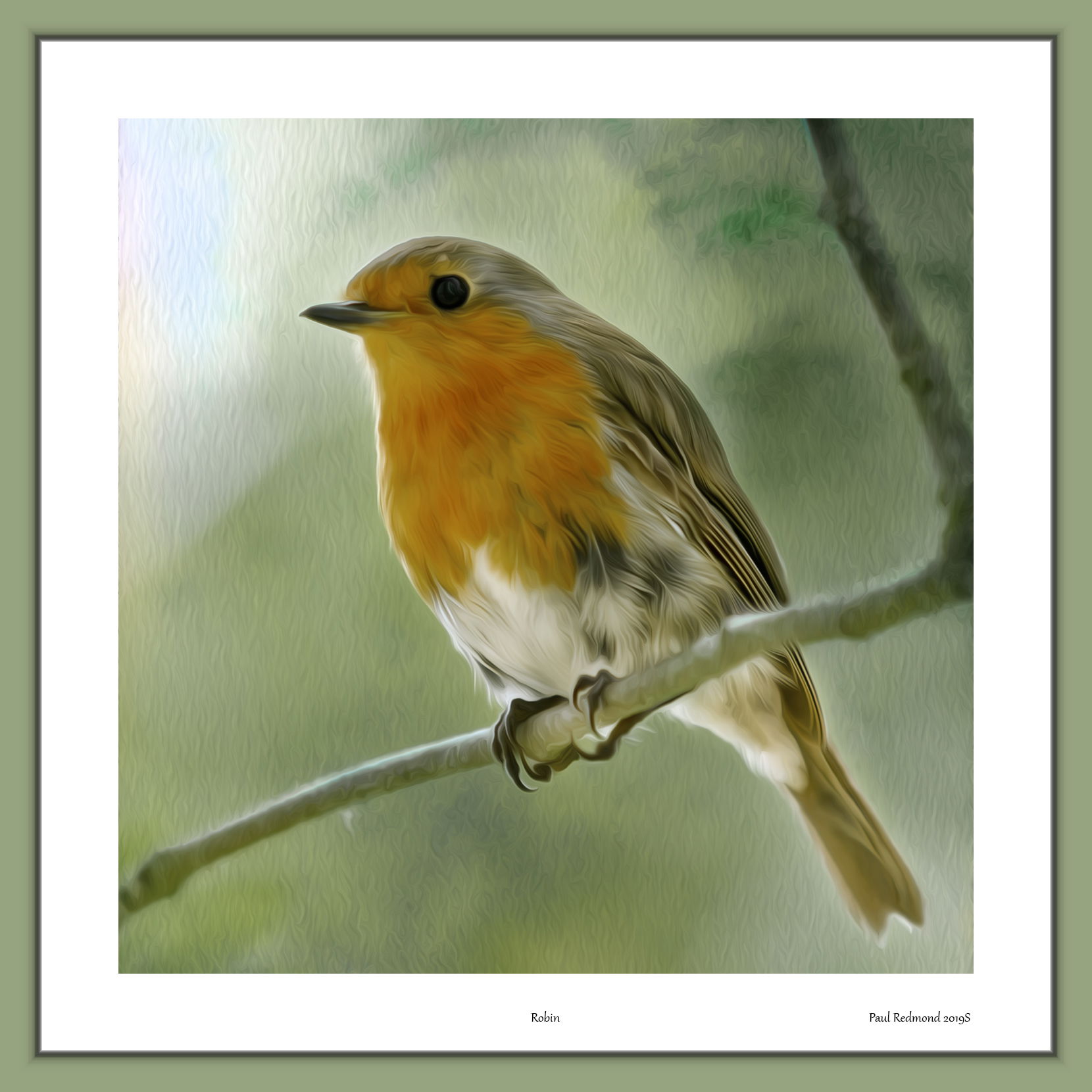 Robin