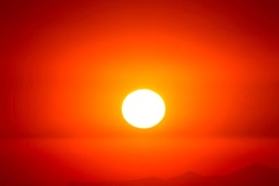 2020 LOVE SMELLS LIKE SUN