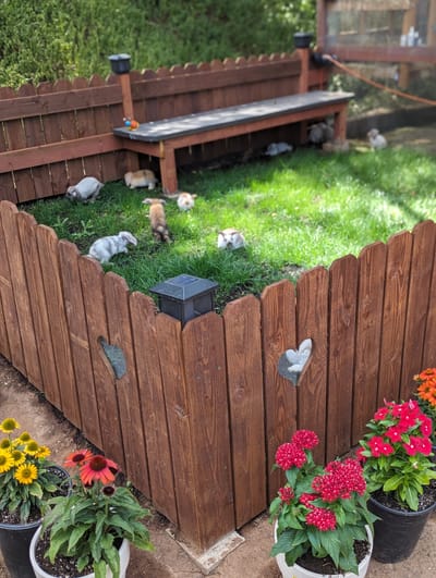 Welcome to our Homestead image