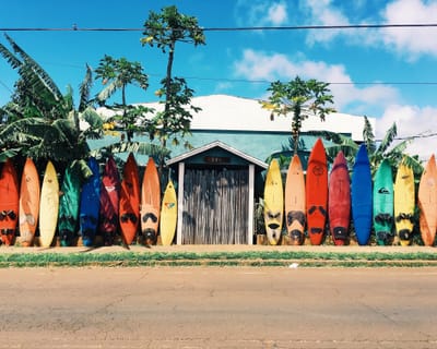 Surf Camps image