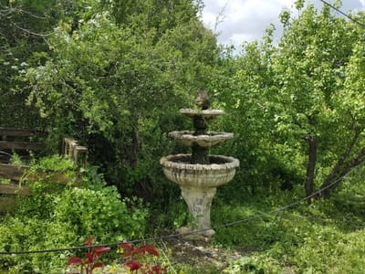 מה חדש ומתחדש בגליל?