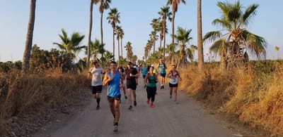 גם בוז׳ולה וגם חוויה בכרם