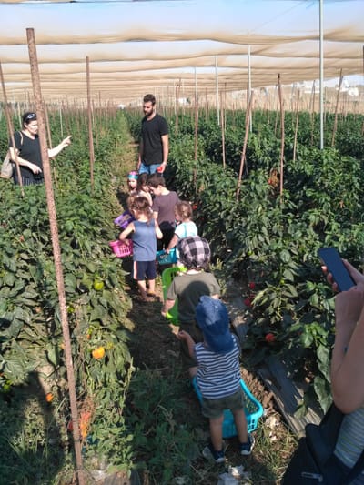סיורי חקלאות וקטיף עצמי בלב מרכז הארץ