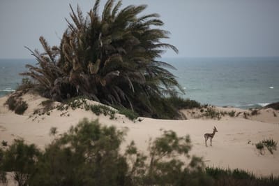 לטייל בחורף