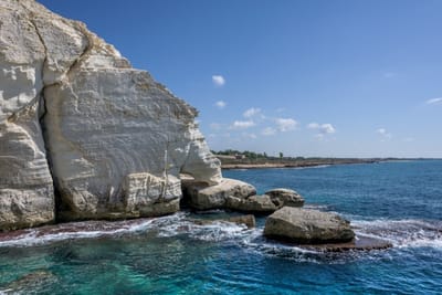 בוחרים לעשות חיים