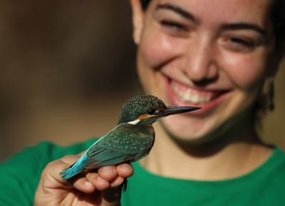 חוגגים שבועות בערבה הדרומית