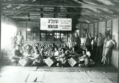 העלייה החמישית image