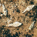 décima descoberta arqueológica bíblica Torre de Cerco Babilônico e Pontas de Flecha