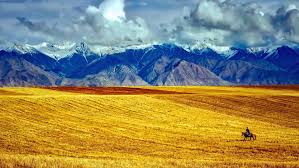 Meet and Greet – A Luxurious Airport Parking Option!