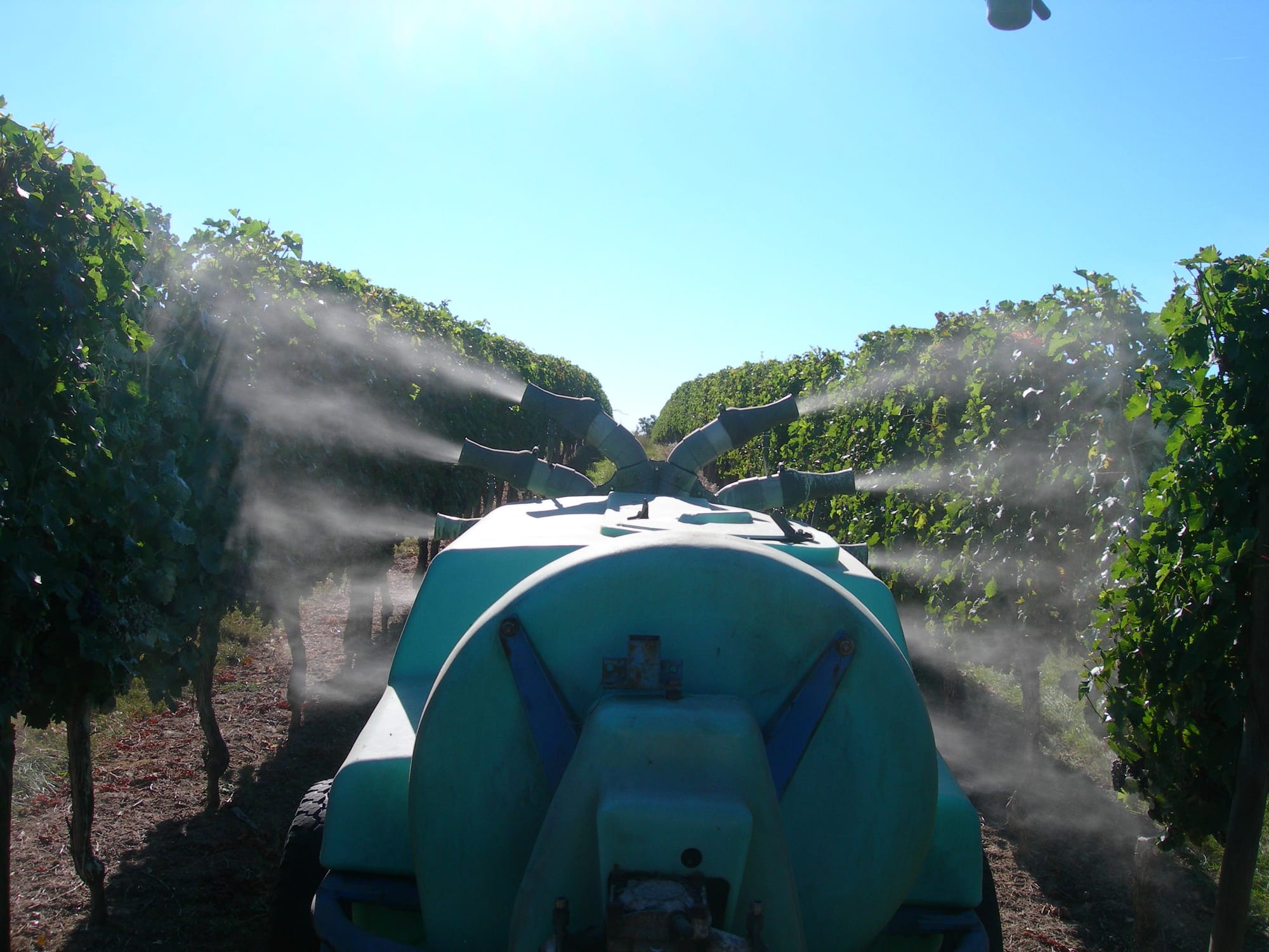 Le traitement des vignobles