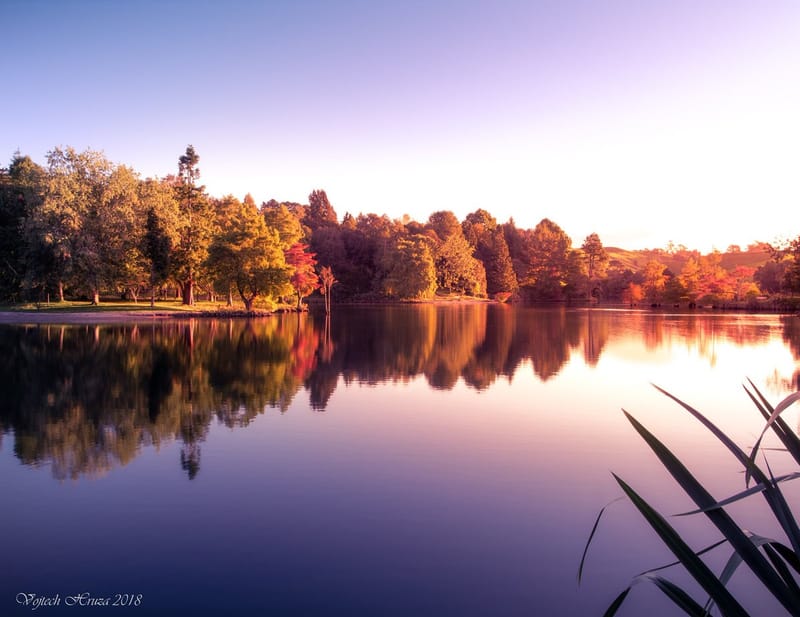 McLaren Falls Park