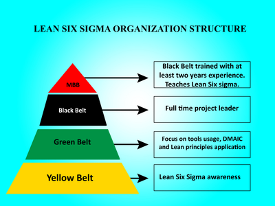What are the key Lean Six Sigma standards?