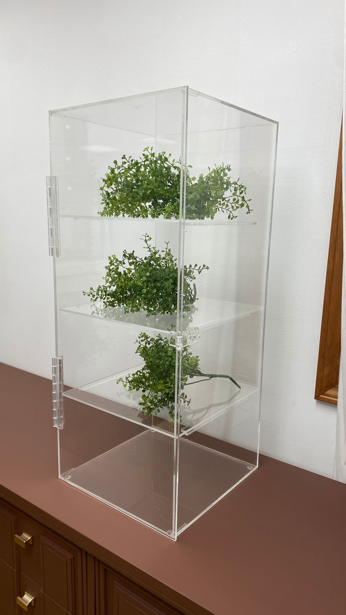 Clear Acrylic Cabinet with Shelving and Hinged Lock