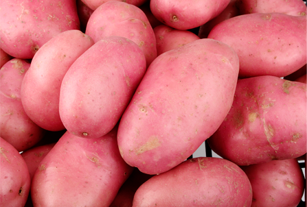 Cartofi roșii