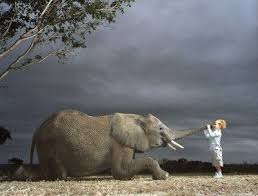 The boy and the elephant poem.