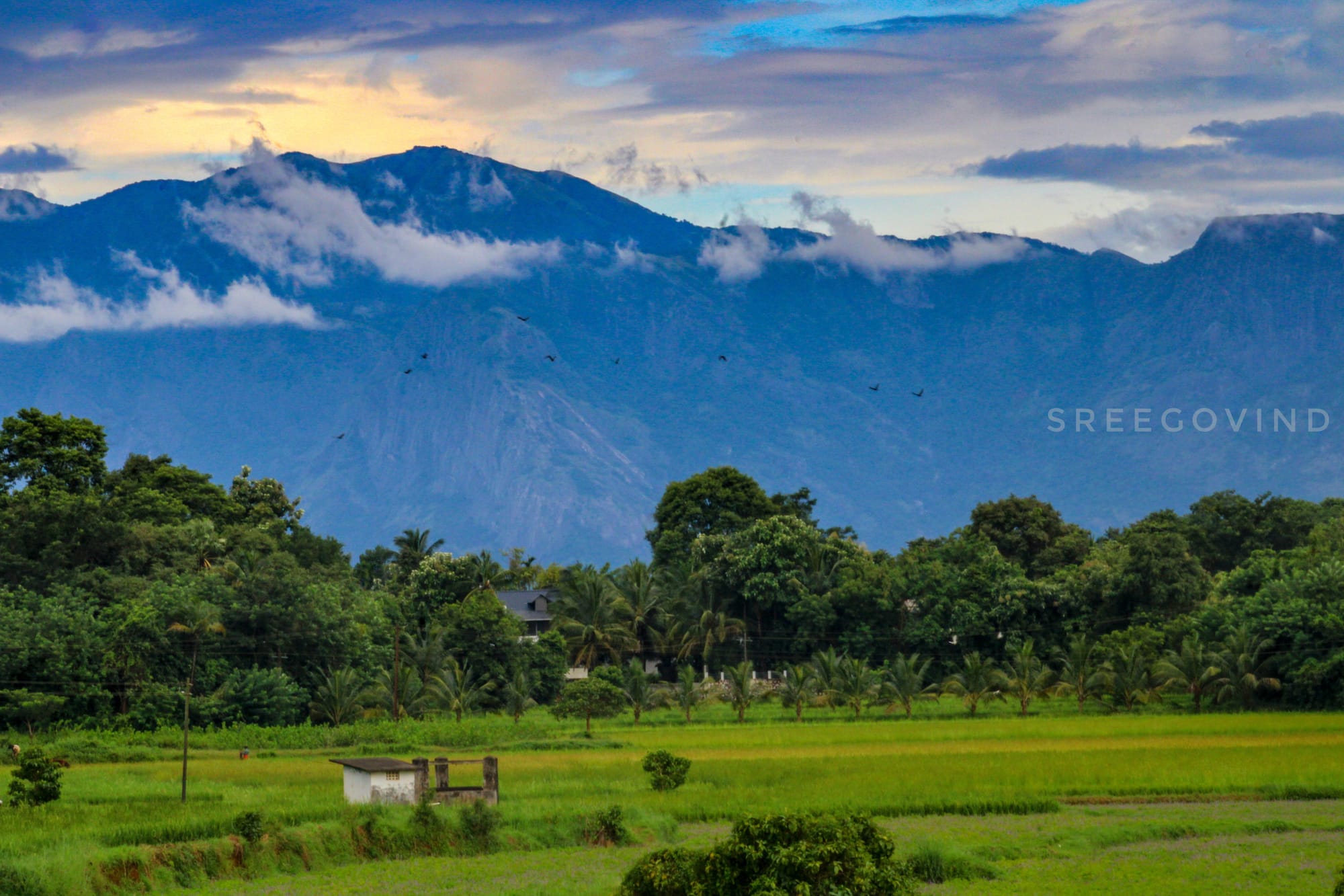 Alathur