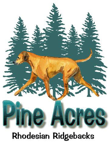 Pine-Acres-Rhodesian-Ridgebacks.com