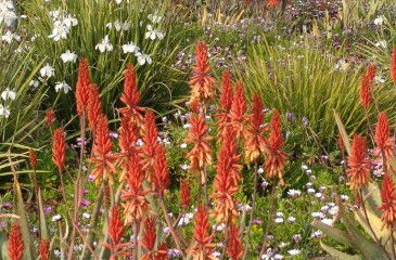 Los Angeles County Arboretum