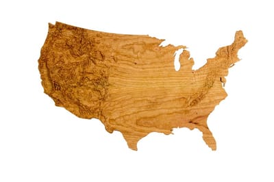 UNITED STATES OF AMERICA