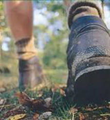 Walking and Cycling image