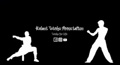 About wushu kungfu /sansho image