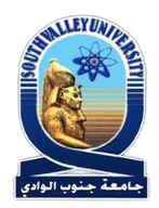 South Valley University