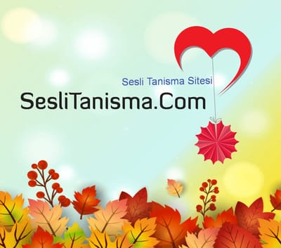 Seslidunya.com