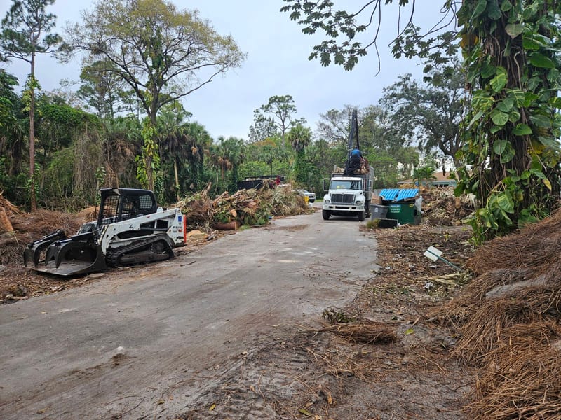 Land Clearing