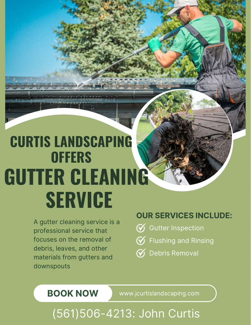 Gutter Cleaning