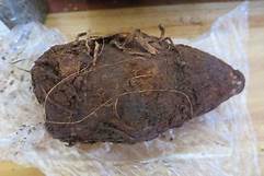 African potato and kitungulu