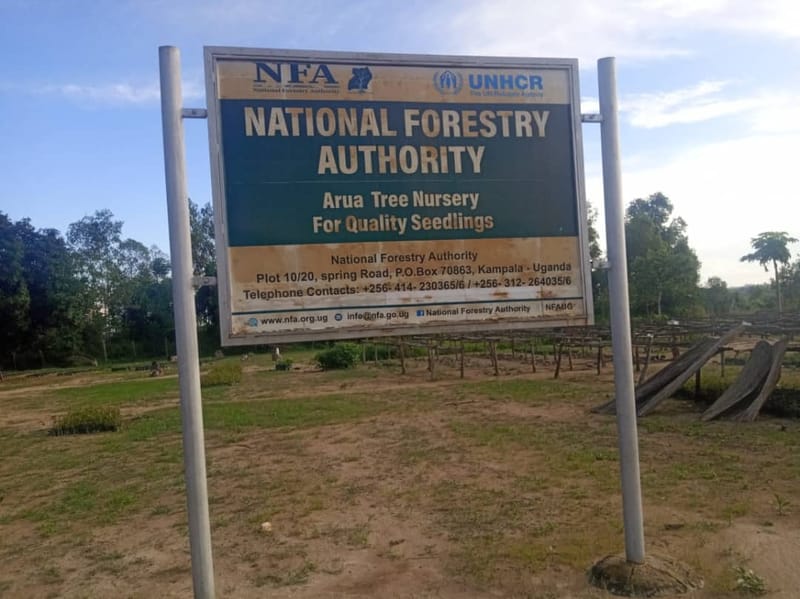 PRIVATE FAMERS TURN BARIFA FOREST RESERVE INTO FARM LAND: