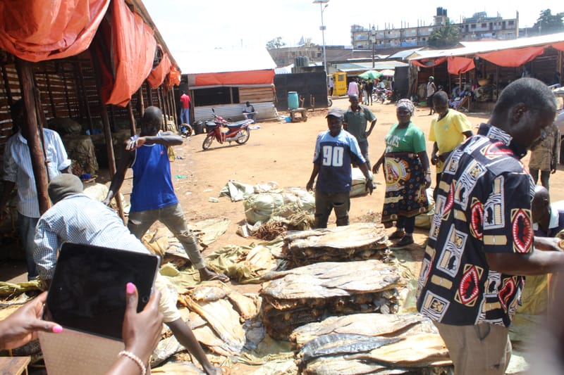 UGANDA'S TAX BODY URA INTERCEPTS TAX EVASION ON FISH TRANSIT AT ARUA CITY MAIN MARKET