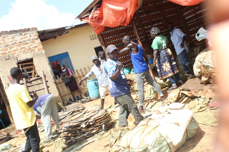 CHAOS ROCKS ARUA CITY