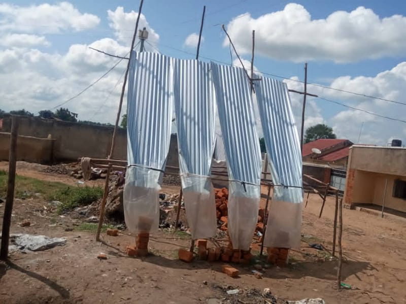 LUCRATIVE GRASSHOPPER SEASON A SECURITY THREAT