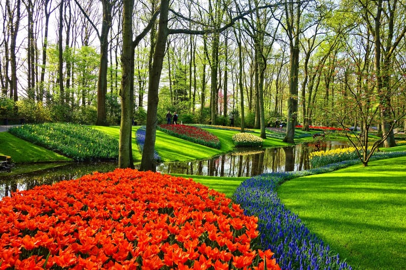 Gartengestaltung