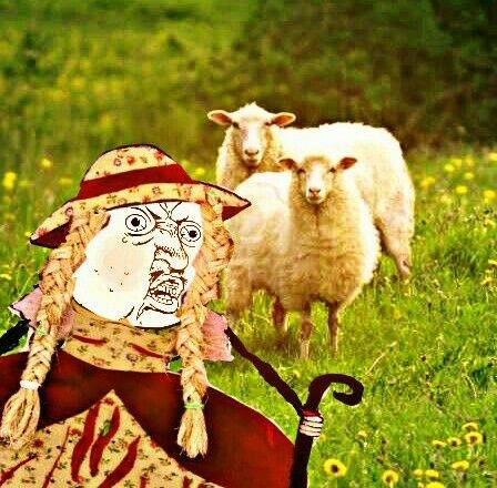 SOYLA REFORMADA