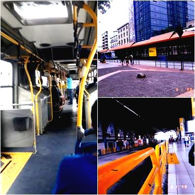 Metrovia