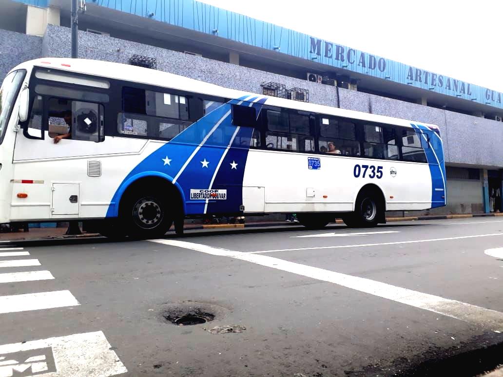 Buses