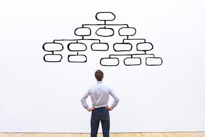 ORGANIGRAMA