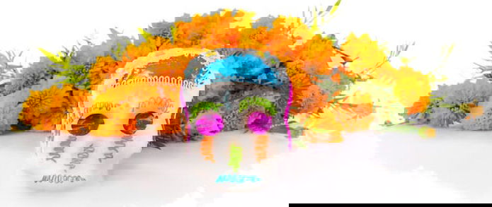 Day of the Dead Night!