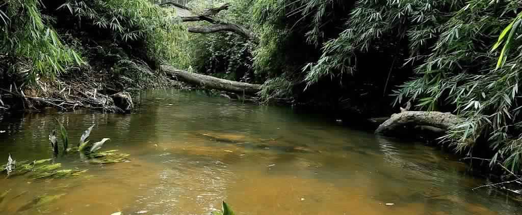 Japavathi River