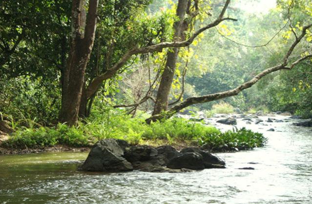 Japavathi River