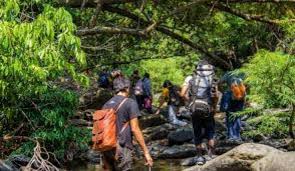 Trekking