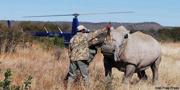 QU'EST CE QUE LE BRACONNAGE: DEFINITION