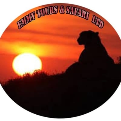 EMMY TOURS & SAFARI LTD