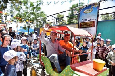 פעילויות וקיטנות